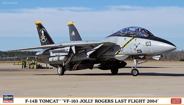 F14B Tomcat "VF103 Jolly Rogers' Last flight 2004  2402434