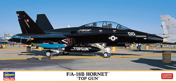F/A18B Hornet "Top Gun" 2402436