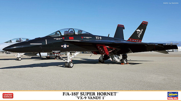 F/A18E Super Hornet "VX9 Vandy 1"  2402447