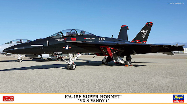 F/A18E Super Hornet "VX9 Vandy 1" 2402447