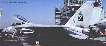 F14D Tomcat "CVW-14" (REISSUE) PT12