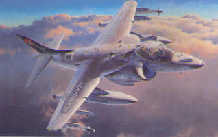 AV8B Harrier II "Night Attack" (REISSUE) PT34