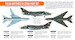 Polish Air Force Sukhoi Su22M4 Fitter Paint set (6 colours)  HTK-CS47