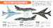 Polish Air Force Sukhoi Su22M4 Fitter Paint set (6 colours)  HTK-CS47