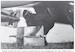 Damned Hunchbacks: Italy's Forgotten Torpedo Bomber Units of the Second World War (1940-1943)  9781804512371