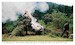 The Bosnian Serb Army at War 1992-95  9781804513699