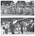 Out-Country War Volume 1: The Secret War Begins, Laos 1954-1960 9781804518632