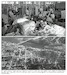 Operation Power Pack Volume 2: The April Revolution and the Inter-American Peacekeeping Force, 1965-1966 9781804518755
