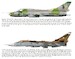 Operations Odyssey Dawn and Unified Protector: NATO and the Air War over Libya, 2011-2020  9781806720248