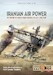 Iranian Air Power Volume 1: The History of Military Aviation in Iran, 1924-1946