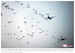 The Armed Forces of North Korea Volume 4: Special Operations Force and Missile General Bureau 9781806722808