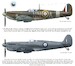 Skywatch Volume 2: The History of the Royal Observer Corps, 1939–1945 9781806722884