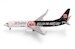 Boeing 737-800 Sun Express Eintracht Frankfurt - SGE Express TC-SPM  538107