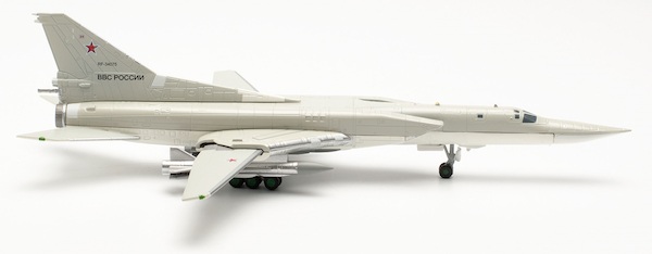 Tupolev TU22M3 Backfire Russian Air Force 43rd Guards Center of Combat Application and Air Crew Training, Dyagilevo Air Base RF-34075/24 red 572156
