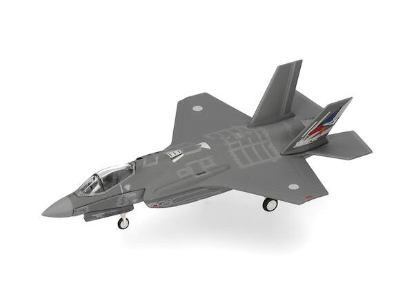F35A Lightning II Japenese Air Self Defense 302 Hikotai, Misawa AB - 50th Anniversary 573597