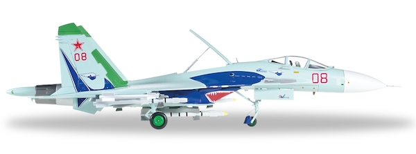 Sukhoi SU-27 Russian Air Force Lipetsk Shark 580007