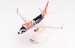 Boeing 737-700 SkyUp Airlines "Shaktar Donetsk" UR-SQE in airline sales box 613170