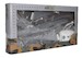 Airbus A330-200 MRTT Royal Netherlands Air Force, Multinational Multi-Role Tanker Transport Fleet (MMF) T-061  614573
