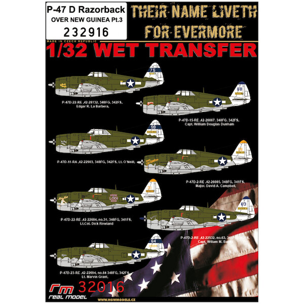 Wet Transfers  P47D Thunderbolt Razorback over New Guinea pt 3  HGW232916