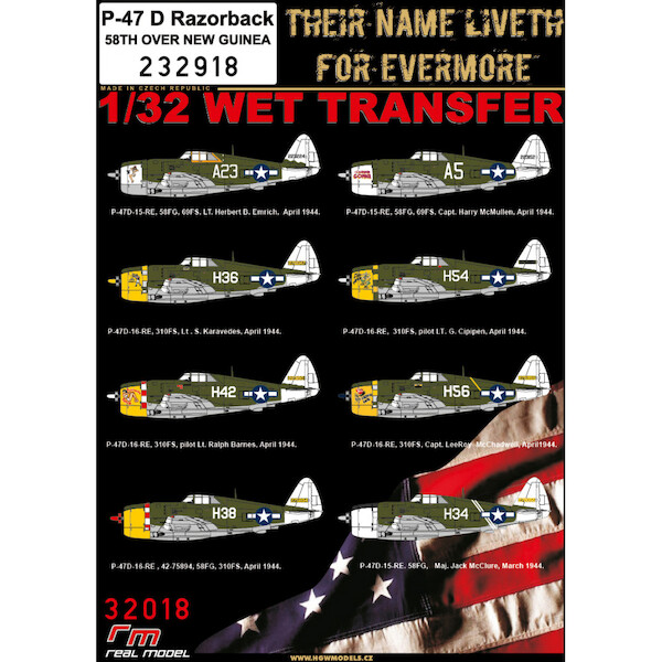 Wet Transfers  P47D Thunderbolt Razorback  58th over New Guinea  HGW232918