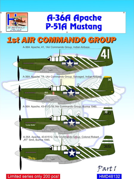 A36 Apache and P51B Mustang (1stAir  Commando group South East Asia)  HMD48132