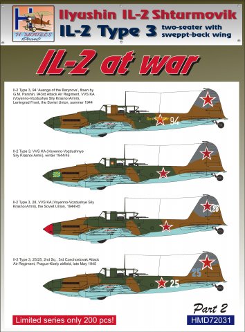 Ilyushin IL2 At war Part 2 (2 seater with swept back wing) HMD72031