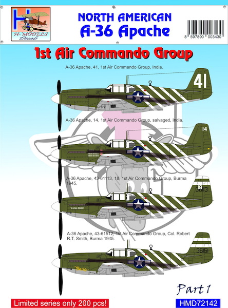 A36 Apache and P51B Mustang (1stAir Commando group South East Asia) HMD72142