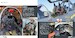 Alpha Jet, Flying with Air Forces Around the World  9782931083086