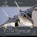 F14 Tomcat Flying with US Navy and IRIAF 037