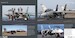 F14 Tomcat Flying with US Navy and IRIAF  978946477609