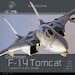 F14 Tomcat Flying with US Navy and IRIAF 037