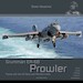 Grumman EA6B Prowler flying with the US Navy and Marines 
