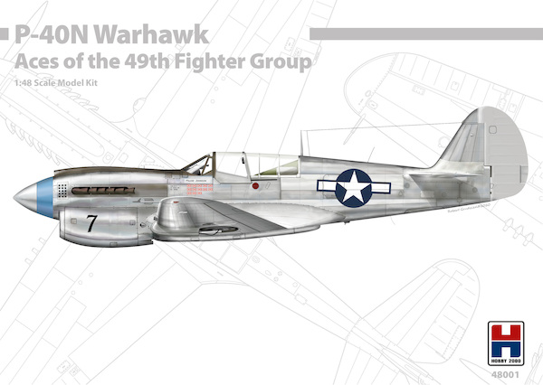 Curtiss P40N Warhawk "Aces of the 49th FG" 48001