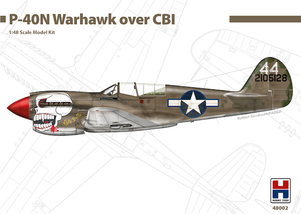 Curtiss P40N Warhawk "Over CBI" 48002
