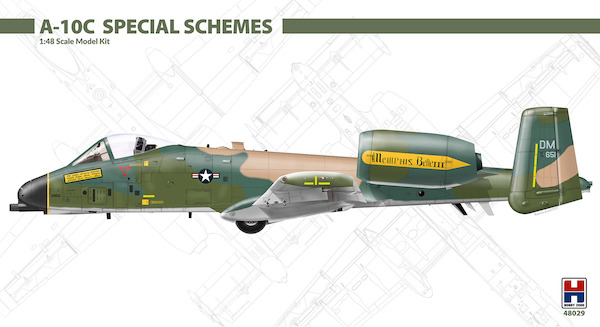 A10C Thunderbolt (USAF Special Schemes) 48029