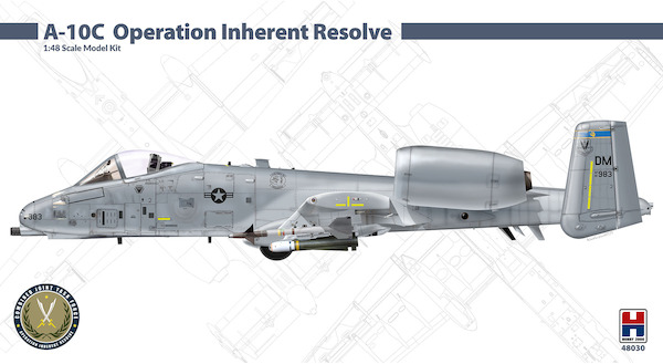 A10C Thunderbolt (USAF Operation Inherent Resolve) 48030