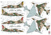 Douglas A4N Skyhawk "Ayit" Early 48039