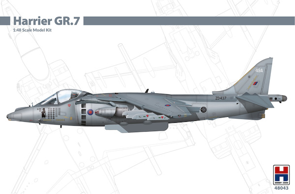 BAe Harrier GR7  48043