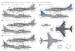BAe Harrier GR7  48043