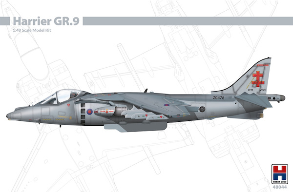 BAe Harrier GR9  48044