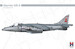 BAe Harrier GR9 H2K48044
