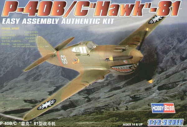 Curtiss P40B/C Tomahawk  80209