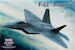 F22 Raptor 80210