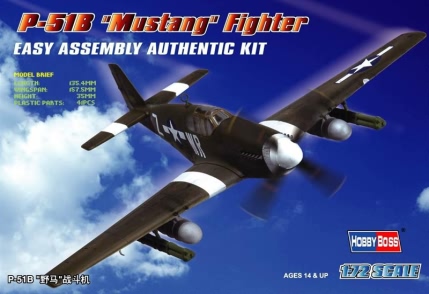North American P51B Mustang 80242