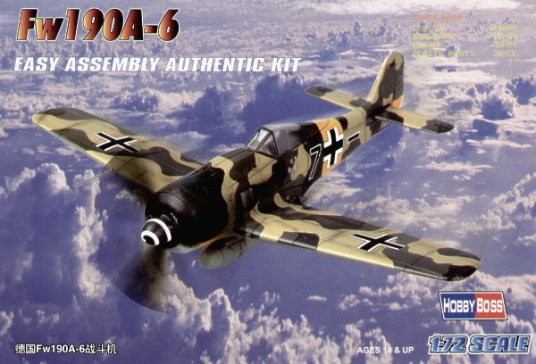 Focke Wulf FW190A-6  80245