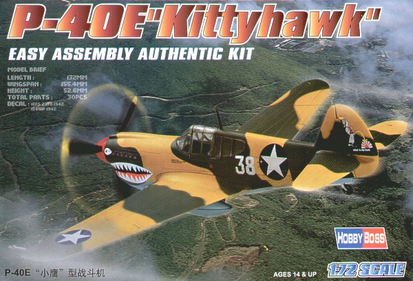 Curtiss P40E Kittyhawk 80250