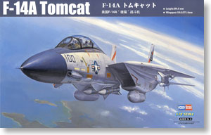 Grumman F14A Tomcat  80276
