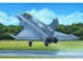 Rafale B Fighter Dual 80317