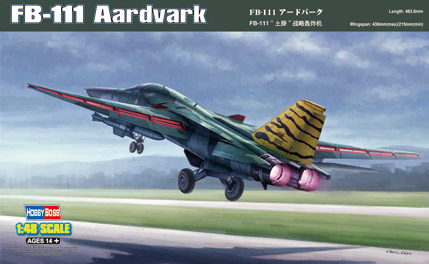 General Dynamics FB111A Aardvark 80351