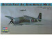 Grumman Hellcat MKII (F6F-5) Fleet Air Arm 80361